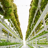 Farming 2.0: Arduino Helps Farms Go Vertical