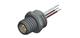Amphenol CONEC 43-01083