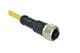 Amphenol LTW M12A-05BFFM-SL8A02