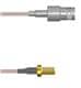 Amphenol Custom Cable Q-0302V0005012i