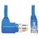 Tripp Lite NM12-604-10M-BL