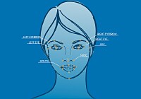 Face Recognition Face Recognition