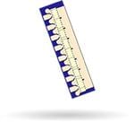 Qorvo TGF2023-2-10 放大圖片